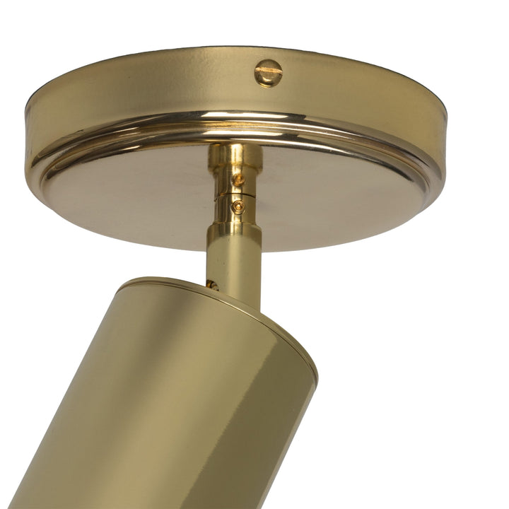 Evanston Directional Brass Ceiling Spot Light