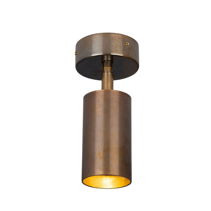 Evanston Directional Brass Ceiling Spot Light