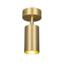 Evanston Directional Brass Ceiling Spot Light
