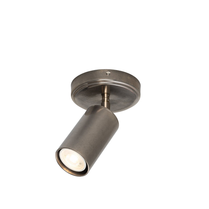 Evanston Directional Brass Ceiling Spot Light