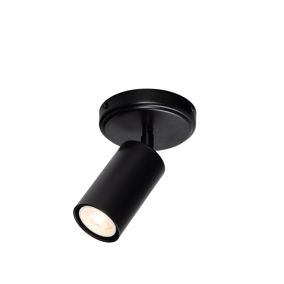 Evanston Directional Brass Ceiling Spot Light