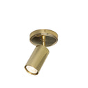 Evanston Directional Brass Ceiling Spot Light