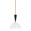 Payson Pendant