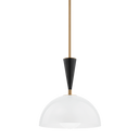 Payson Pendant