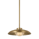 Braxton Pendant
