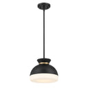 Brian Patrick Flynn Gidget 10.25'' Matte Black + Vibrant Gold Pendant