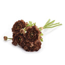 Ranunculus Stem | Bundle of 5