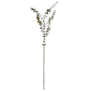 Eucalyptus Branch | 44" | Green