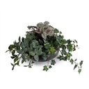 Assorted Greenery in Ceramic Bowl 9"H