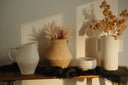 Pampas Grass Bundle | Blush