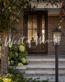 Inside Out Exterior - Fuji 124.jpg