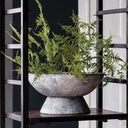 Prady Saucer Planter