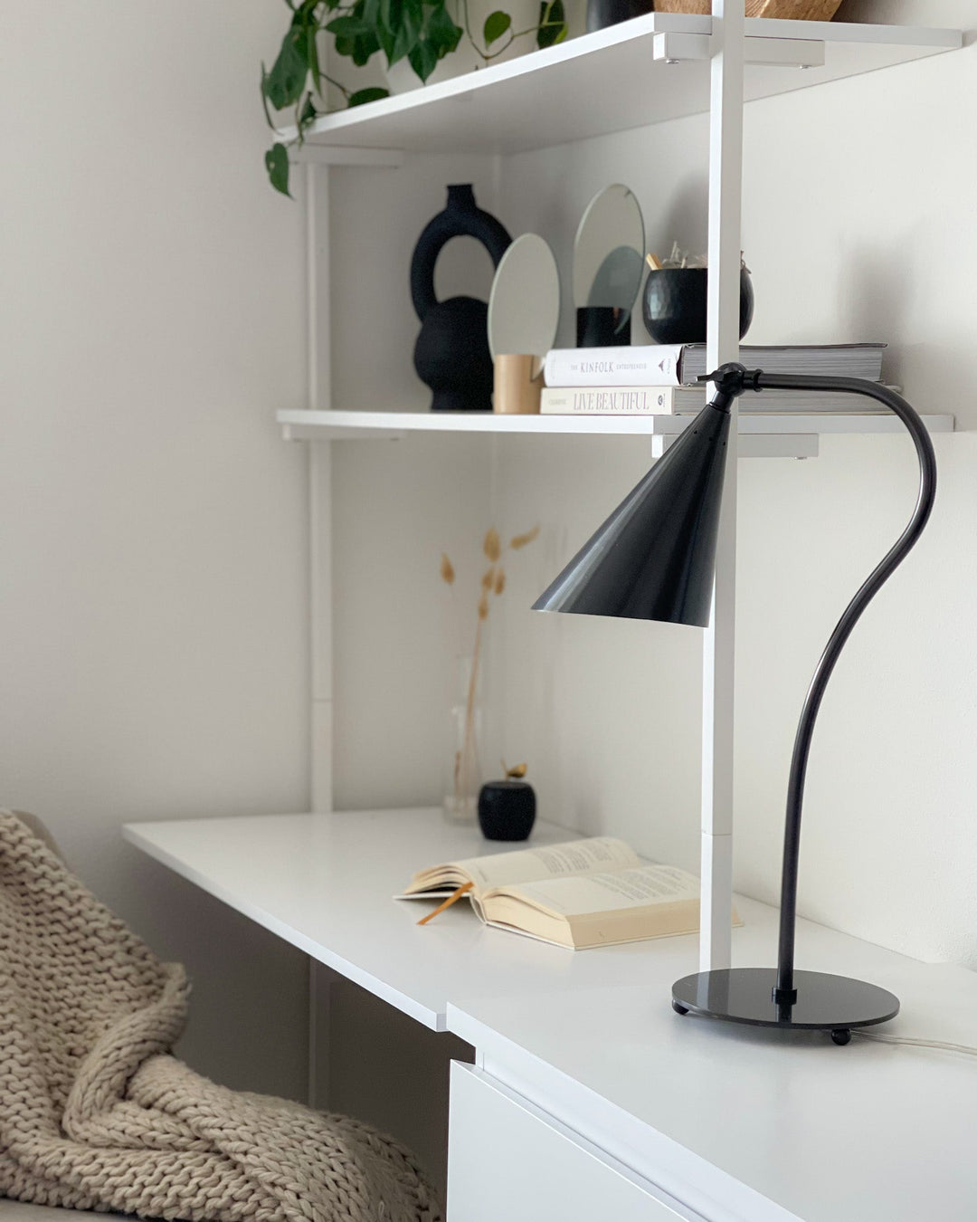 Lupe Desk Lamp