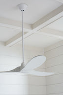 Maverick 60 Ceiling Fan | Blades Matte White