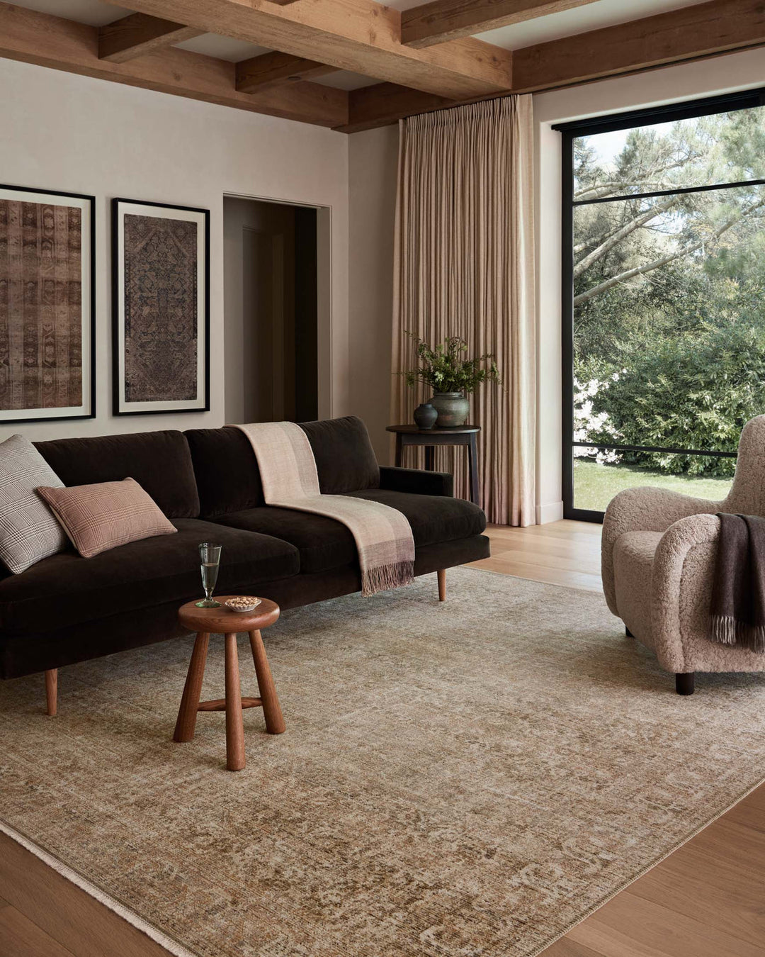 Molly Collection | Antique/ Multi