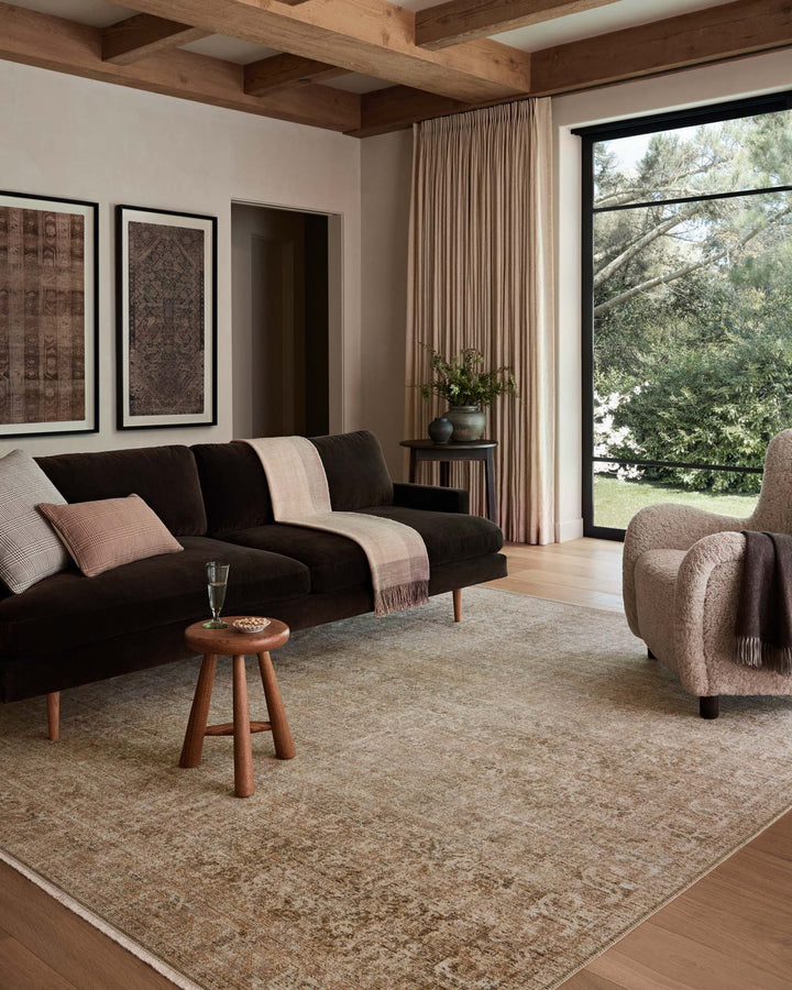 Molly Collection | Antique/ Multi