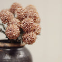 Morandi Bloom Bouquet | Earthy Pink