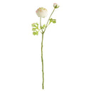 Ranunculus Stem | 21"