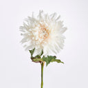 Chrysanthemum Stem | 30"