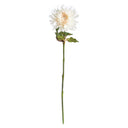 Chrysanthemum Stem | 30"