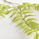 Bracken Fern Stem | 43"