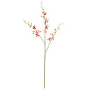 Orchid Stem | 38" | Orange