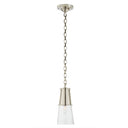 Robinson Pendant with Clear Glass