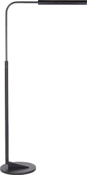 Austin Adjustable Floor Lamp | Aged Iron