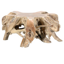 Cypress Root Coffee Table
