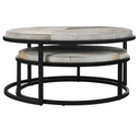 Hayword Hide Set of 2 Nesting Coffee Tables