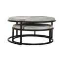 Hayword Hide Set of 2 Nesting Coffee Tables