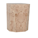 Avena Burl Wood 17" Square End Table Natural