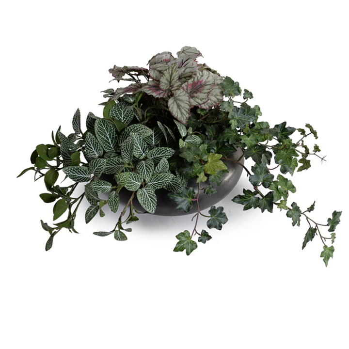 Assorted Greenery in ceramic bowl
