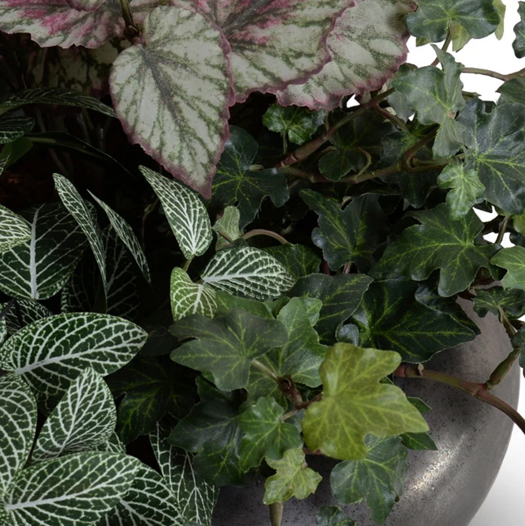 Assorted Greenery in ceramic bowl