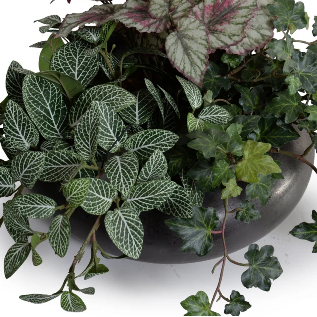 Assorted Greenery in ceramic bowl