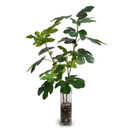 Fig Branches w/ Fruits in Glass