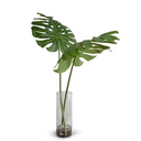 Monstera Leaves in Glass