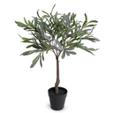 Olive Leaf Topiary