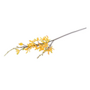 Aranda Orchid Spray
