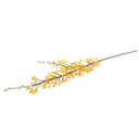 Aranda Orchid Spray