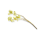 Light Green Berry Branch 20"