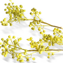 Light Green Berry Branch 20"