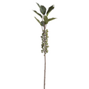 Coffee Berry Branch 37"