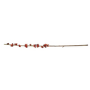 Coffee Berry Branch 40"