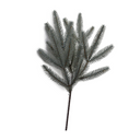 Blue Spruce Spray