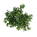 Boxwood Leaf Pick
