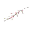 Cherry Blossom Branch