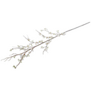 Cherry Blossom Branch