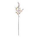 Cherry Blossom flower branch