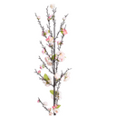 Cherry Blossom flower branch
